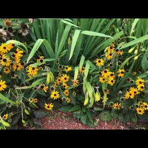 I am always open to offers and never decline